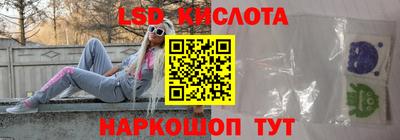 спайс Кингисепп