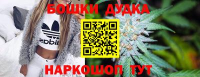 спайс Кингисепп