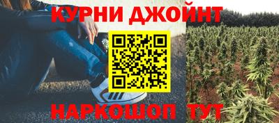 PSILOCYBIN Кимры