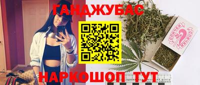спайс Кингисепп