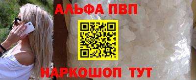 спайс Кингисепп