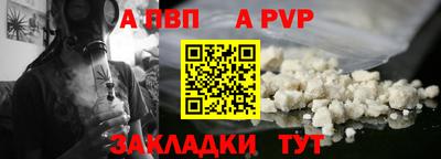 спайс Кингисепп