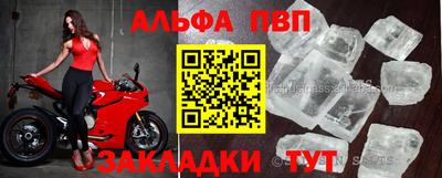 спайс Кингисепп