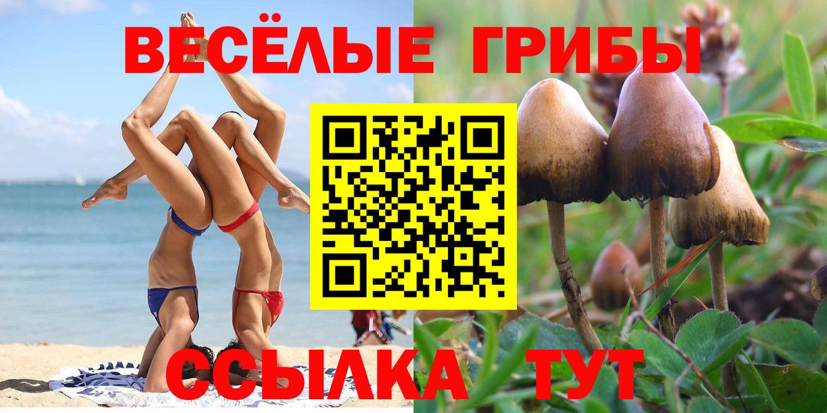 Псилоцибиновые грибы прущие грибы  Вход с VPN  Галлюциногенные грибы мухоморы  Узловая 