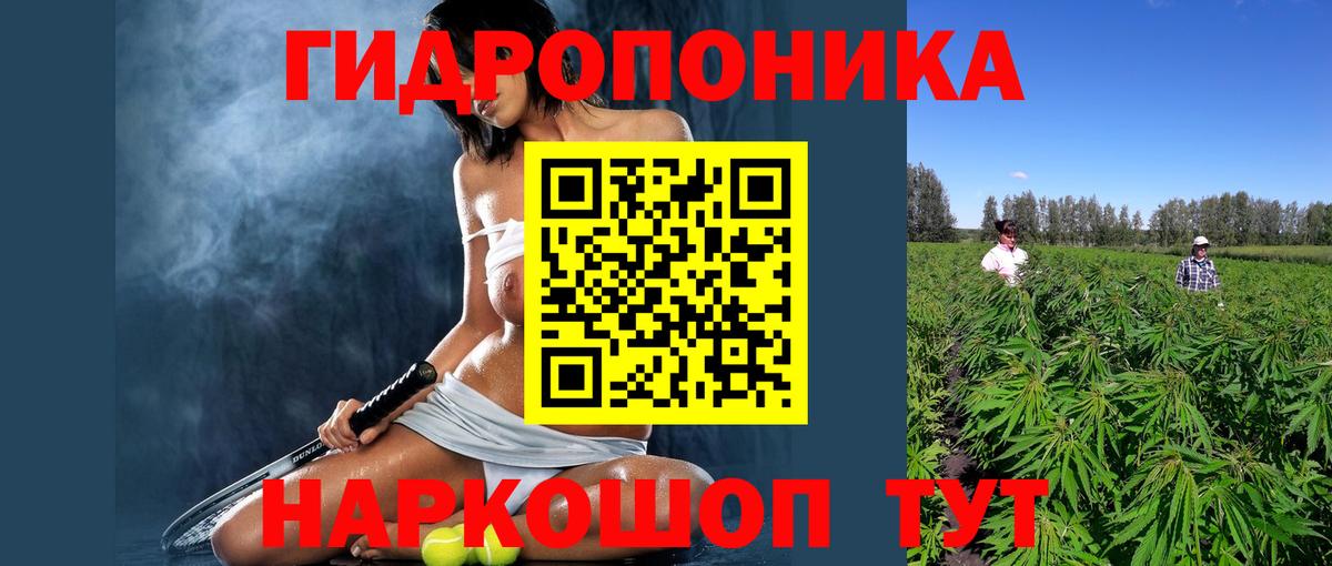 Конопля тримм  Шишки марихуана Amnesia  Канабис семена  Вход с VPN  Узловая 
